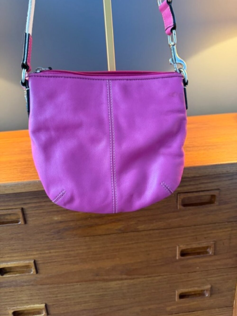 Coach Soho Pleated Leather Swingpack